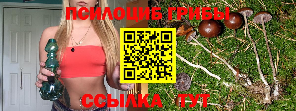 Югорск  Псилоцибиновые грибы мицелий  Вход с VPN 
